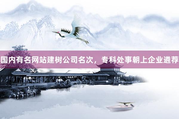 国内有名网站建树公司名次，专科处事朝上企业遴荐